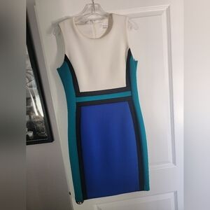 Calvin Klein Colorblock Dress